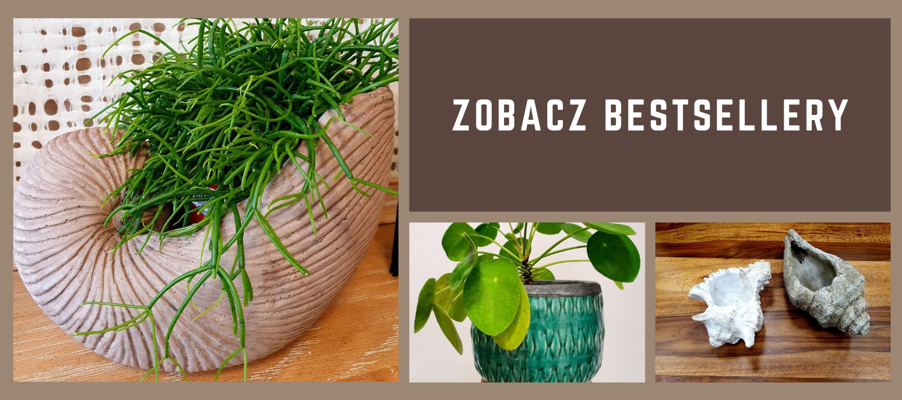 zobacz bestsellery